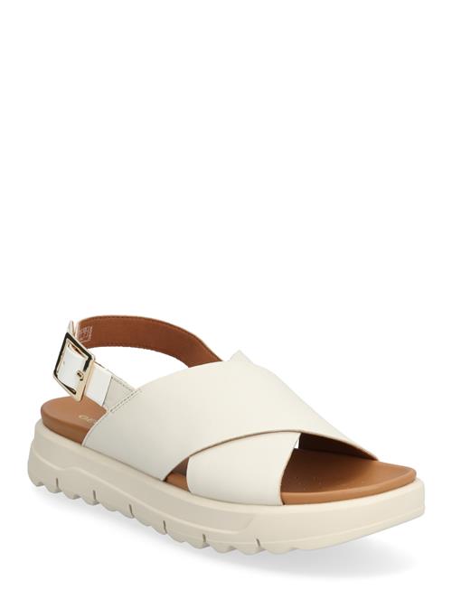 GEOX | D Xand 2.1S E | 39