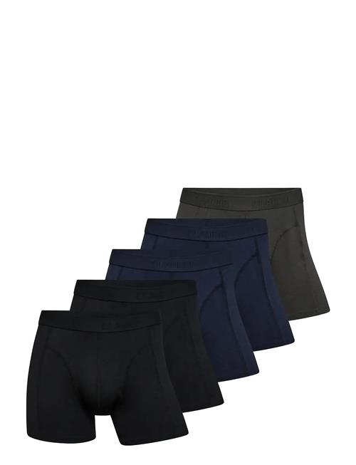 Claudio | Claudio 5-Pack Tights | S