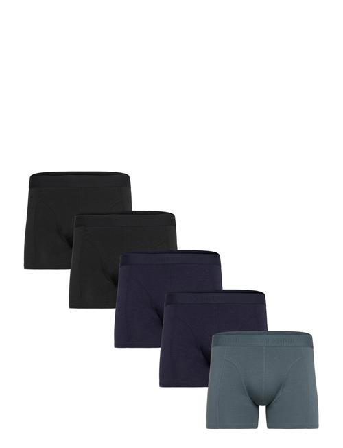 Claudio | Claudio 5-Pack Tights | L