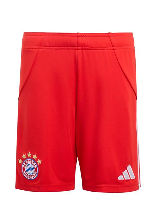 adidas Performance | Fcb H Sho Y | 140