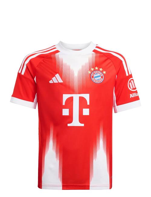 adidas Performance | Fcb H Jsy Y | 164