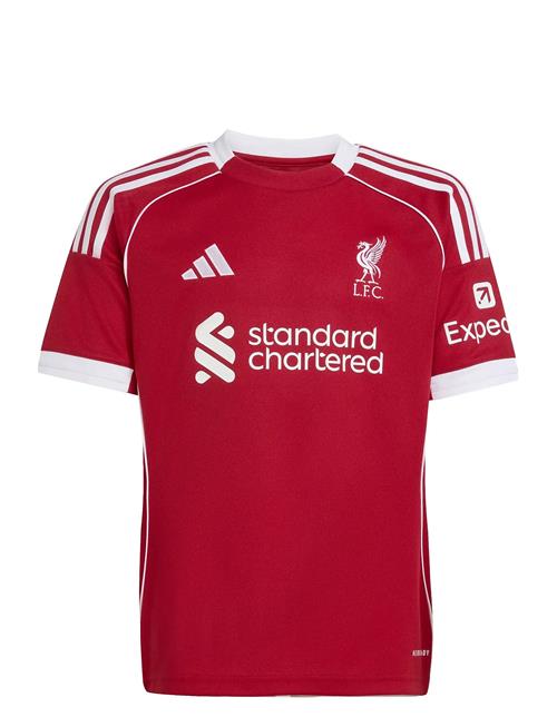 adidas Performance | Lfc H Jsy Y | 152