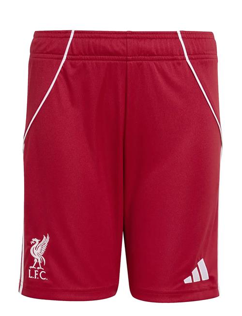 adidas Performance | Lfc H Sho Y | 164