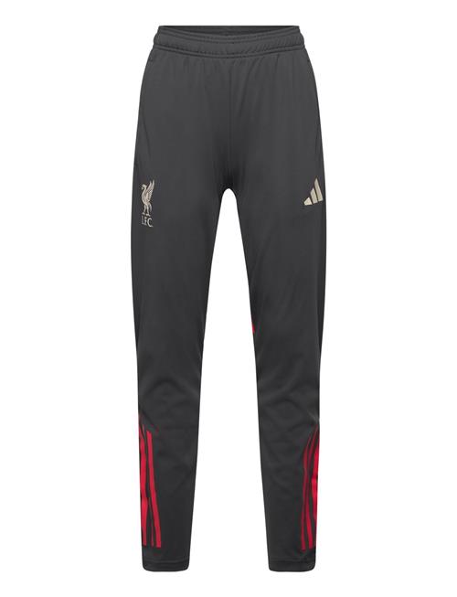 adidas Performance | Lfc Tr Pnt Y | 152