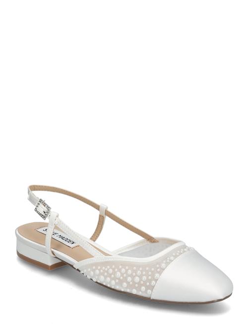 Steve Madden | Belinda-P | 36