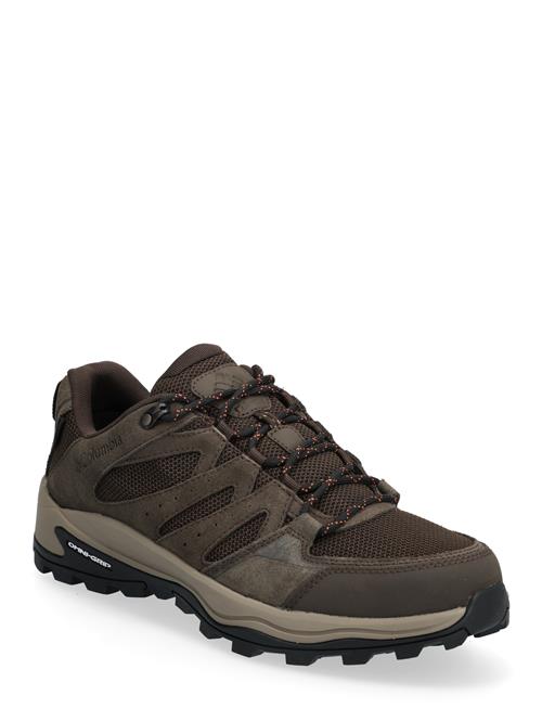 Columbia Sportswear | Redmond Iv Low Waterproof | 42