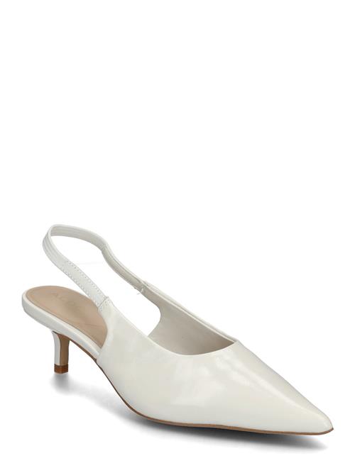 ALDO | Oceweth | 37