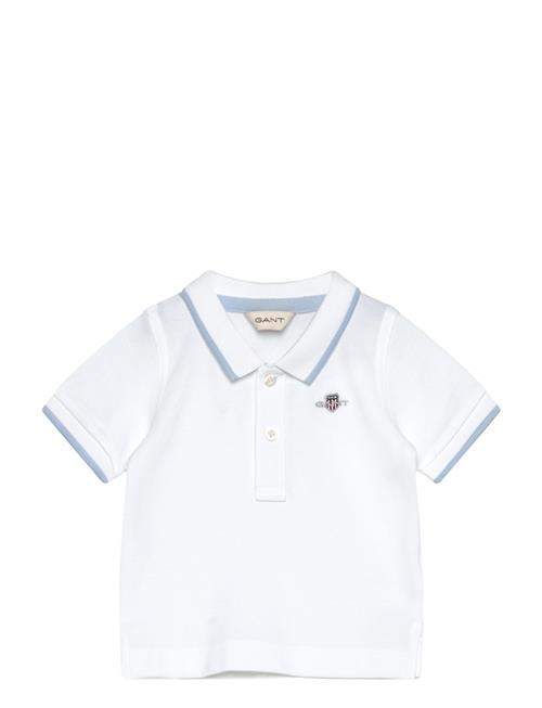 Gant | Contrast Tp Ss Pique Rugger | 74