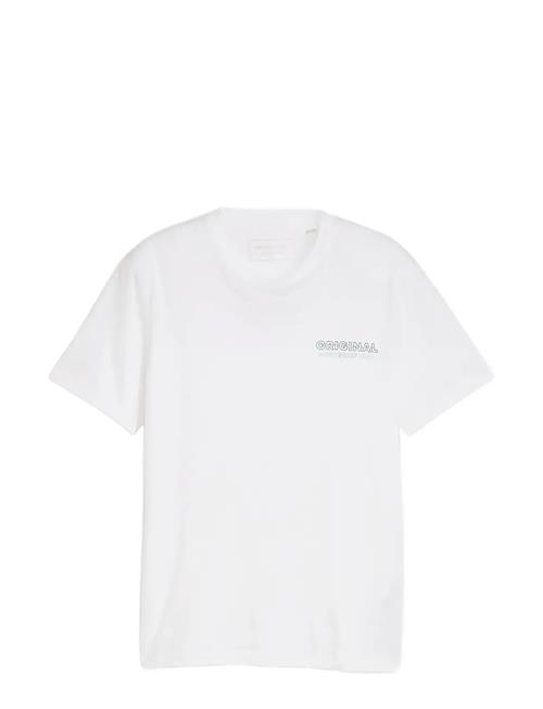 Tom Tailor | Printed T-Shirt | L