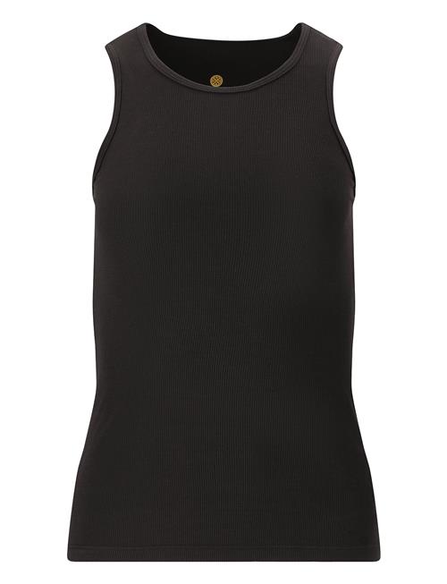 Athlecia | Tinashe W Halterneck Rib Top | 40