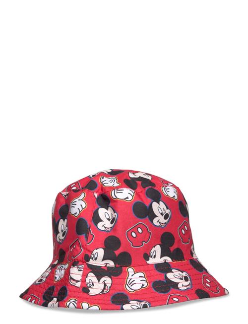 Disney | Bob | 54