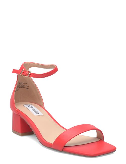 Steve Madden | Gena | 42