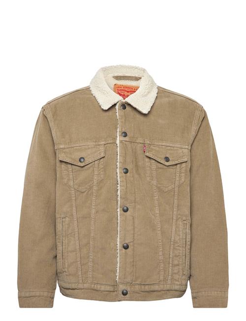 Levi's® | Relaxed Fit Sherpa Trkr Timber | L