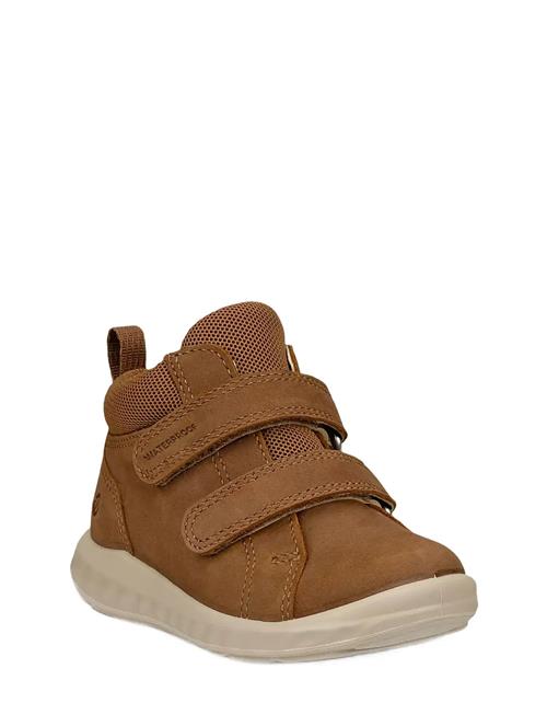ECCO | Sp.1 Lite Infant | 25