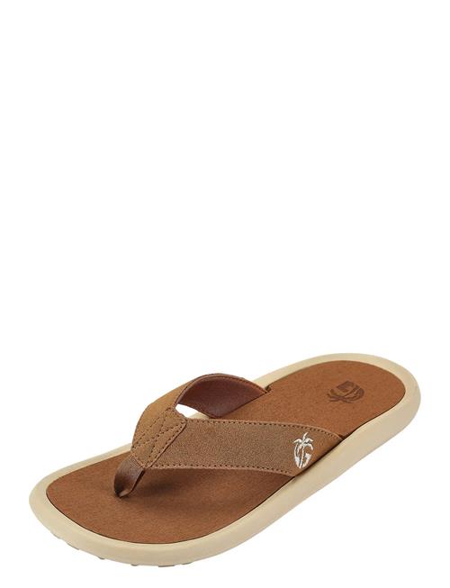 Gumbies | Noosa | 39