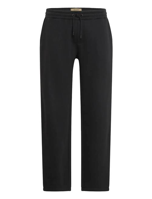 Blend | Bhdownton Straight Leg Pants | XXL