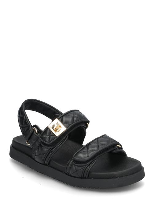 Steve Madden | Mona-Q | 36