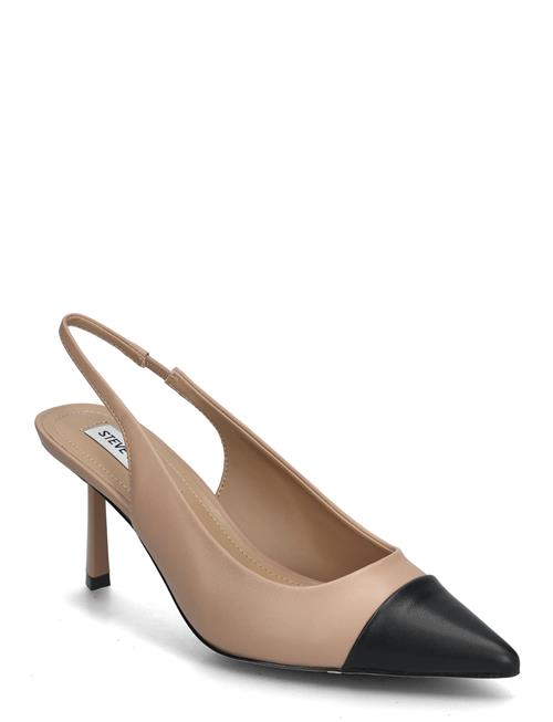 Steve Madden | Kling Sandal | 42