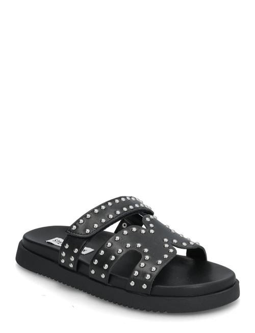 Steve Madden | Missile-S | 40