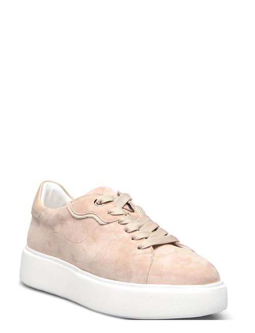 Dasia | Ardisia | 38