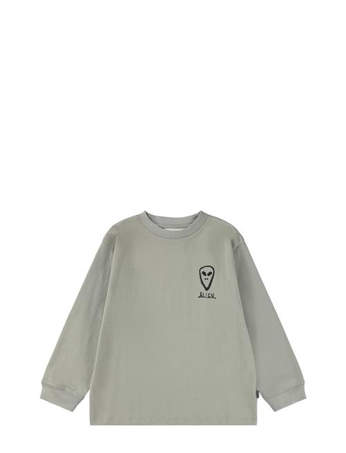 Molo | Rube | 164