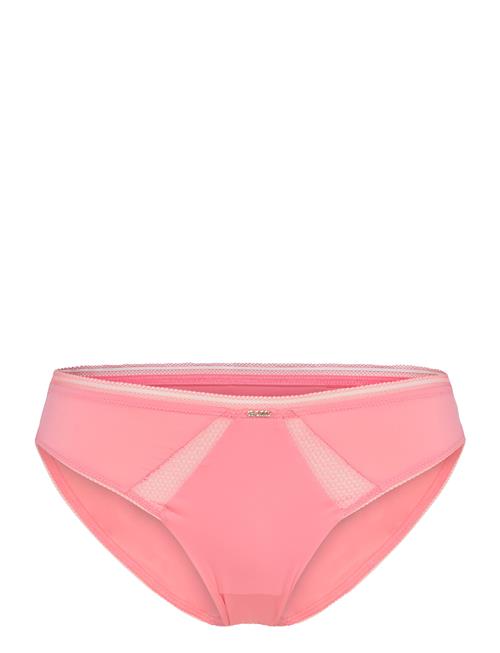 BOSS | Brief_B.pure | L