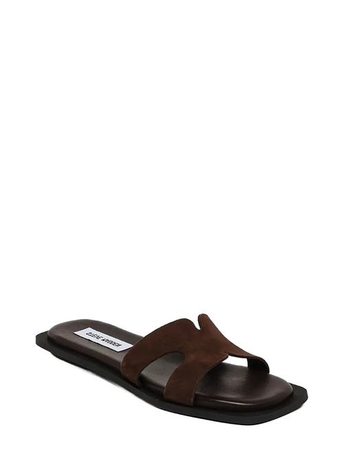Steve Madden | Sofia | 40