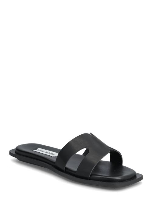 Steve Madden | Sofia | 37