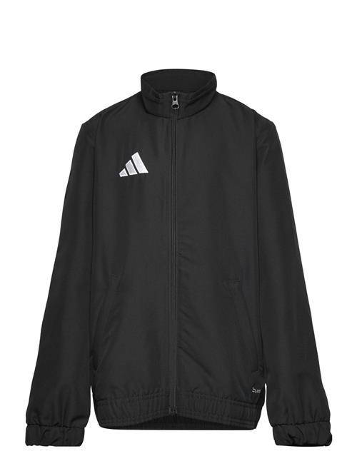 adidas Performance | Ent26 Prejkty | 104