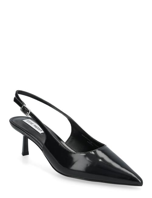 Steve Madden | Korra | 37