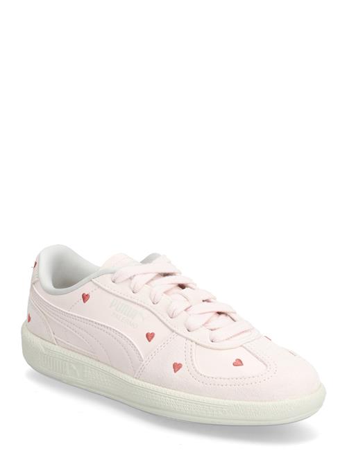 PUMA | Palermo Amor Jr | 37