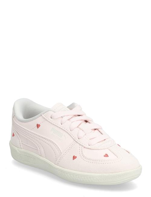 PUMA | Palermo Amor Ps | 28
