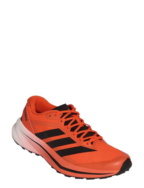 adidas Terrex | Terrex Agravic Lite | 43 1/3
