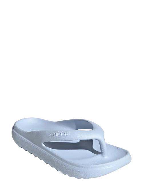 adidas Sportswear | Adilette Lumia Flip Flop | 42