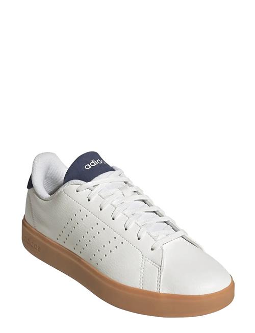 adidas Sportswear | Advantage 2.0 | 42