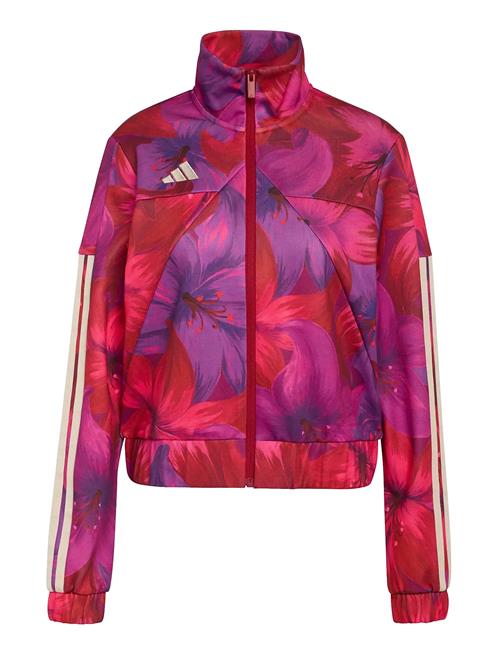 adidas Sportswear | Farm Tiro Tt | XS