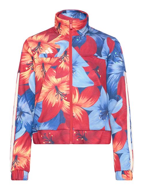 adidas Sportswear | Farm Tiro Tt | S