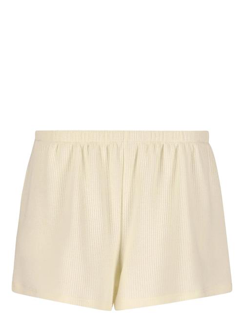 Athlecia | Cardall W Waffle Shorts | 36