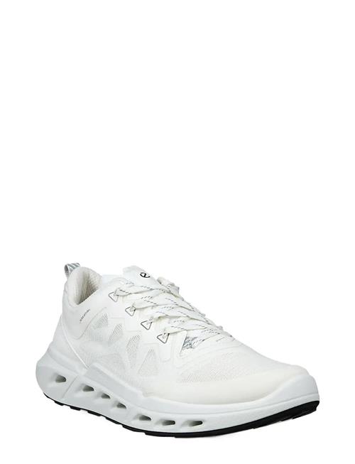 ECCO | Biom 720 W | 41