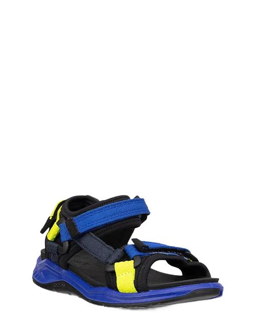 ECCO | X-Trinsic K | 40
