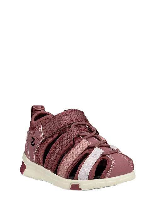 ECCO | Mini Stride Sandal | 27