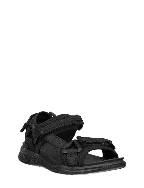 ECCO | X-Trinsic K | 26