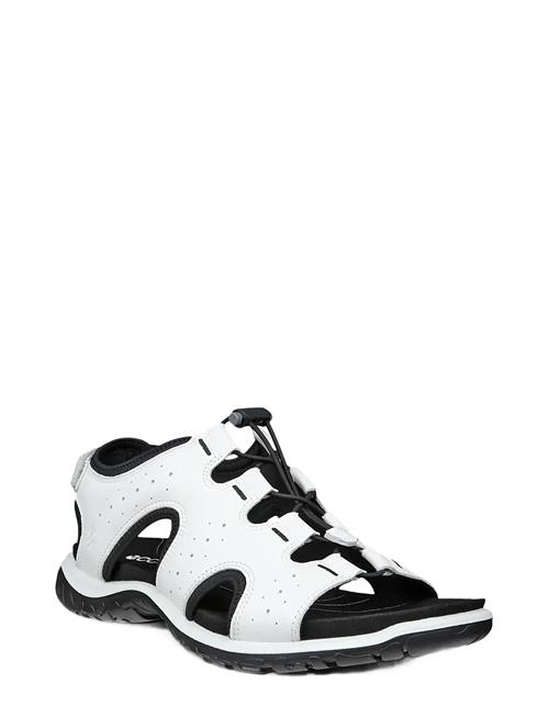 ECCO | Offroad Roam W | 42