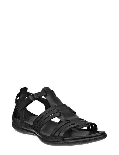 ECCO | Flash | 38