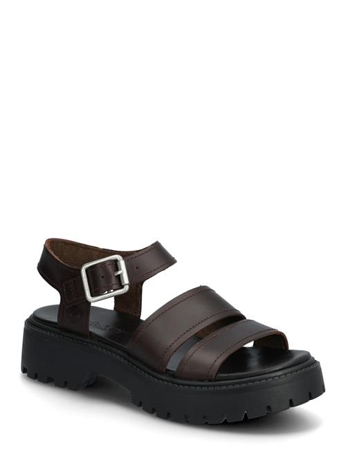 Timberland | Backstrap Sandal | 39