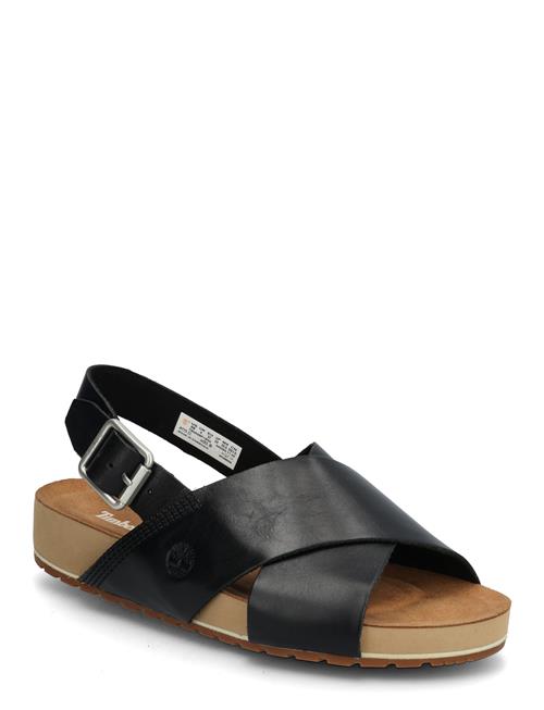 Timberland | Backstrap Sandal | 41