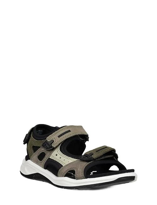 ECCO | X-Trinsic K | 34