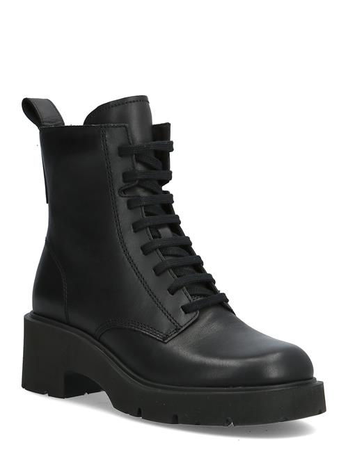 Camper | Milah | 41