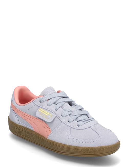 PUMA | Palermo Jr | 36