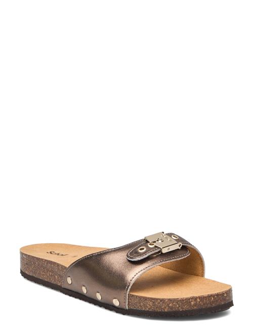 Scholl | Sl Pescura Margot Leather | 37